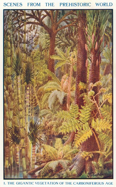 La gigantesca vegetación del Carbonífero (litografía en color) de Louis Fairfax Muckley
