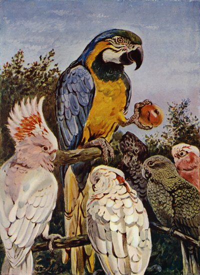 "¿Quién ha mordido mi manzana?" (litografía en color) de Louis Fairfax Muckley