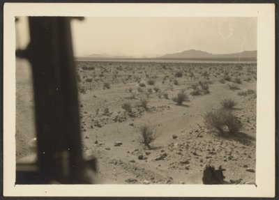 [Plantas del desierto de Amargosa] de Louis Fleckenstein