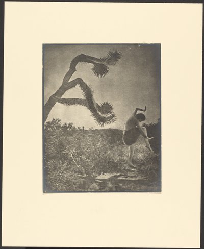 Danza apache de Louis Fleckenstein