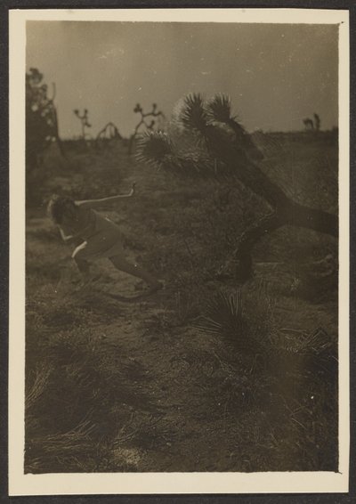 [Bogey Man of the Desert] de Louis Fleckenstein