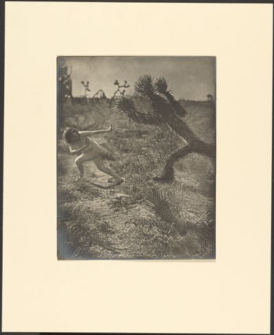 Bogey Man del desierto de Louis Fleckenstein