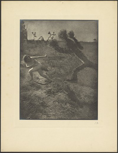 Bogey Man del desierto de Louis Fleckenstein
