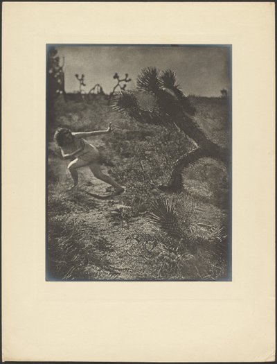  de Louis Fleckenstein