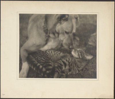  de Louis Fleckenstein