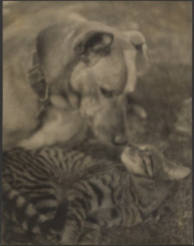 de Louis Fleckenstein