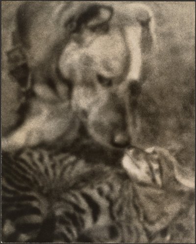  de Louis Fleckenstein
