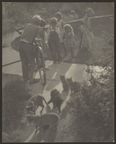 [Niños y gatos] de Louis Fleckenstein