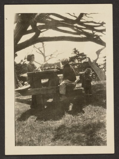 [Niños en una mesa de picnic] de Louis Fleckenstein