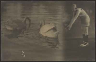 [Composite of Swans and Diver] de Louis Fleckenstein