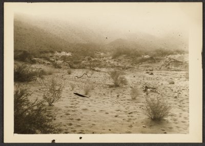 [Coyote Canyon] de Louis Fleckenstein