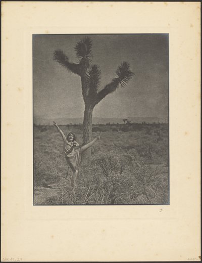 [Bailarina en Joshua Tree] de Louis Fleckenstein