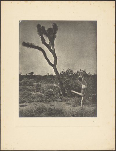  de Louis Fleckenstein