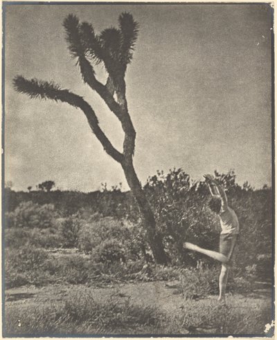 [Bailarín en Joshua Tree] de Louis Fleckenstein