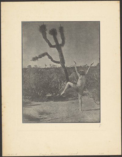 Maestro de baile de Louis Fleckenstein