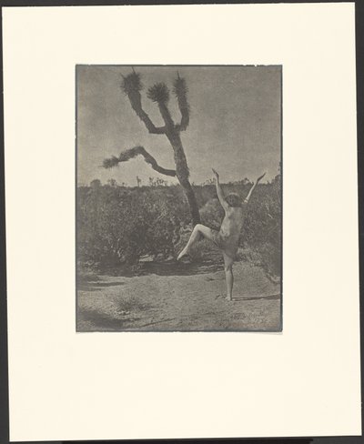 Maestro de baile de Louis Fleckenstein