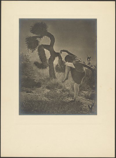  de Louis Fleckenstein
