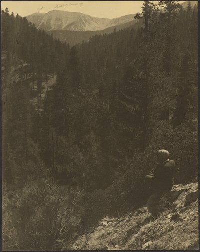 Vista lejana del monte Gorgonio de Louis Fleckenstein