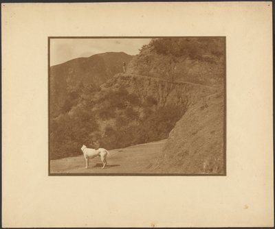[Perro y mujer en un paisaje montañoso] de Louis Fleckenstein