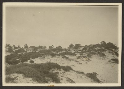 [Dunas] de Louis Fleckenstein