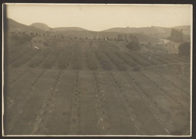 [Paisaje agrícola] de Louis Fleckenstein