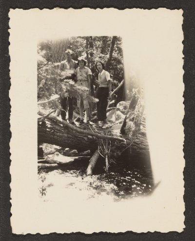 [Figuras en el bosque] de Louis Fleckenstein