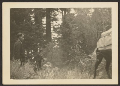 [Figuras en un paisaje boscoso] de Louis Fleckenstein