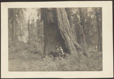 [Figuras a caballo en el hueco de un enorme árbol] de Louis Fleckenstein