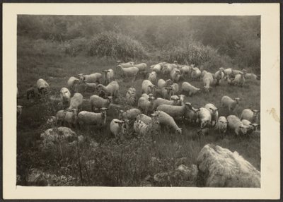  de Louis Fleckenstein