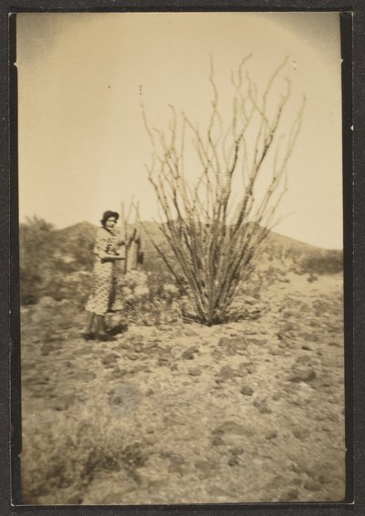 [Florencia con Cactus Grande] de Louis Fleckenstein