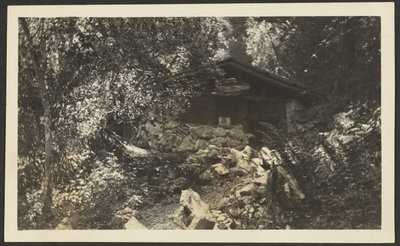 [Forest Lodge] de Louis Fleckenstein
