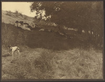 [Retrato de grupo descansando en el campo con un perro] de Louis Fleckenstein