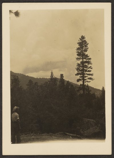 [Idyllwild] de Louis Fleckenstein