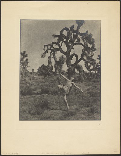  de Louis Fleckenstein