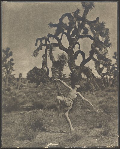  de Louis Fleckenstein