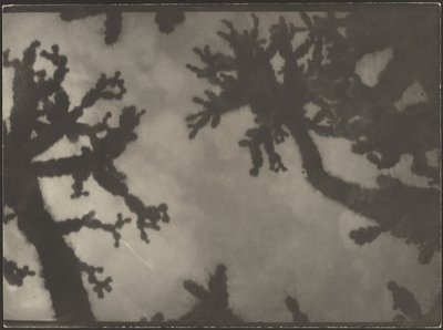  de Louis Fleckenstein