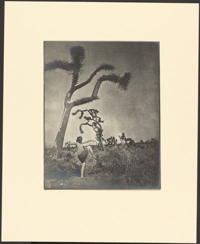  de Louis Fleckenstein