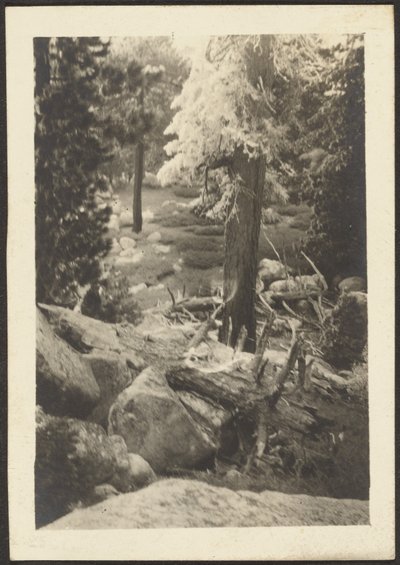 [Paisaje] de Louis Fleckenstein
