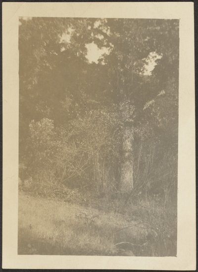 [Paisaje] de Louis Fleckenstein