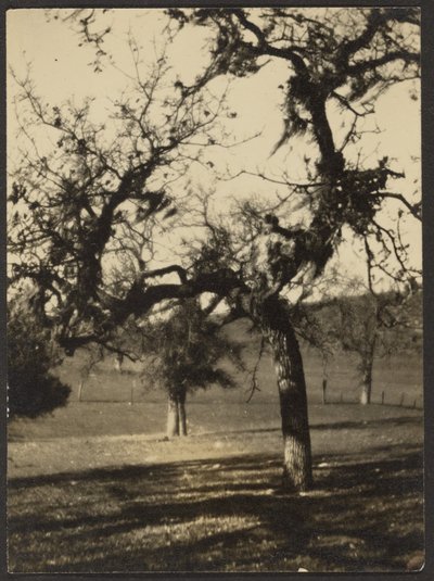 [Paisaje] de Louis Fleckenstein