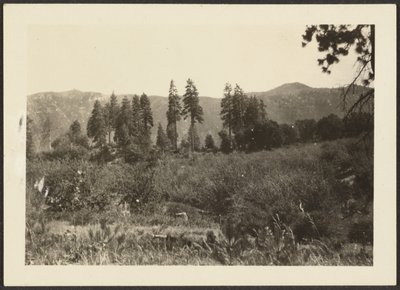 [Paisaje] de Louis Fleckenstein