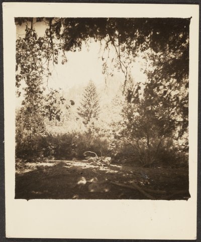 [Paisaje] de Louis Fleckenstein