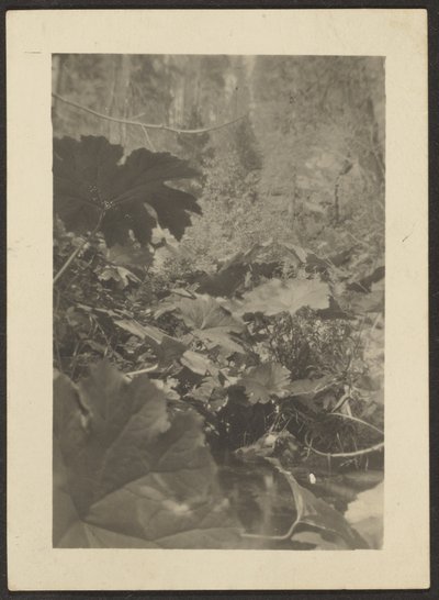 [Paisaje] de Louis Fleckenstein