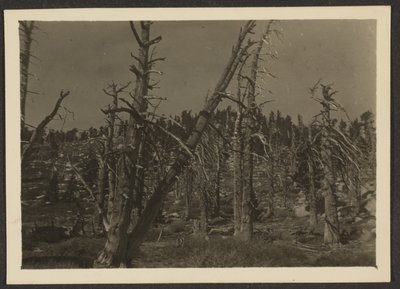 [Paisaje] de Louis Fleckenstein