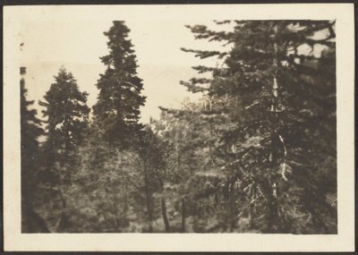 [Paisaje] de Louis Fleckenstein