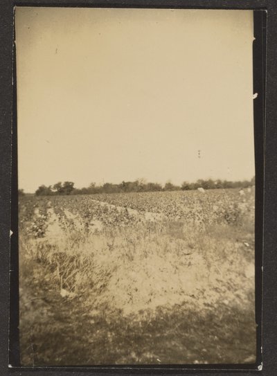 [Paisaje] de Louis Fleckenstein