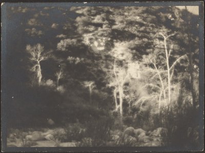 [Paisaje] de Louis Fleckenstein