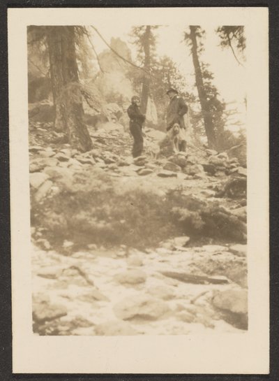 [Paisaje] de Louis Fleckenstein