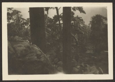 [Paisaje] de Louis Fleckenstein