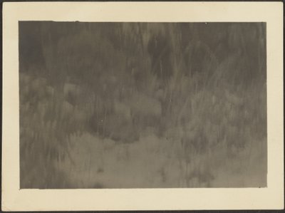 [Paisaje] de Louis Fleckenstein